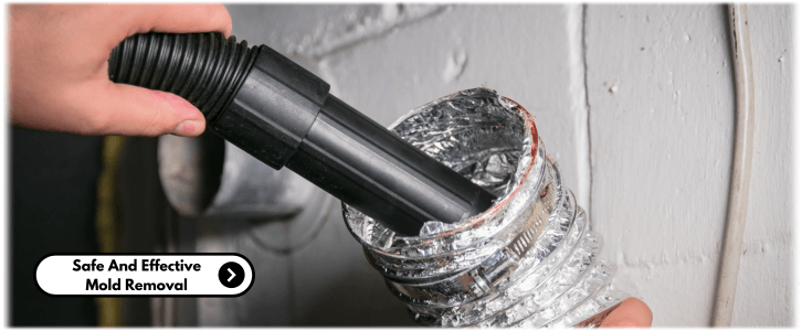 Air Duct Mold Removal in Los Angeles CA