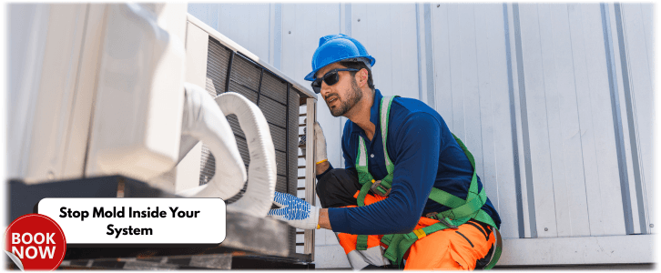 HVAC Mold Removal Los Angeles CA